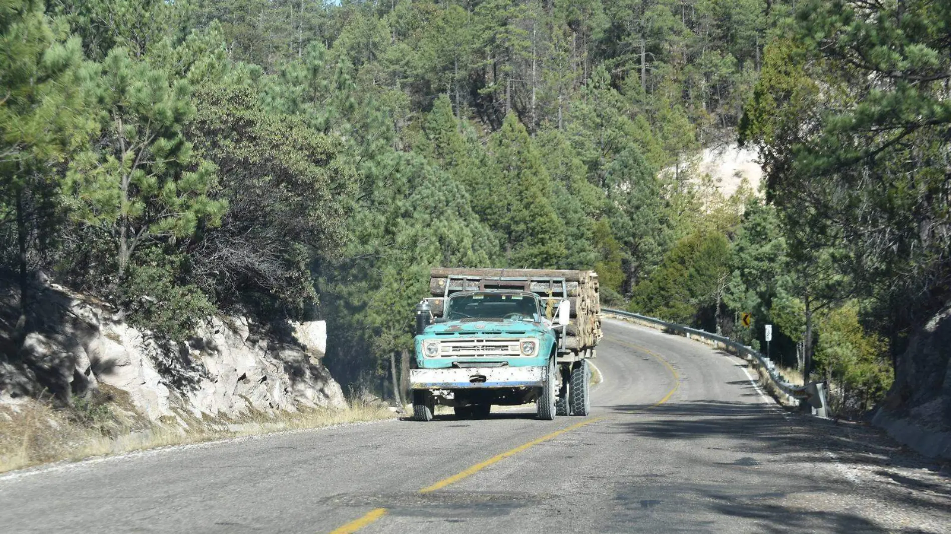 camioneros 1 javy